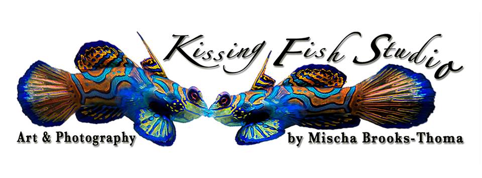 4264_Kissing-Fish-Studio