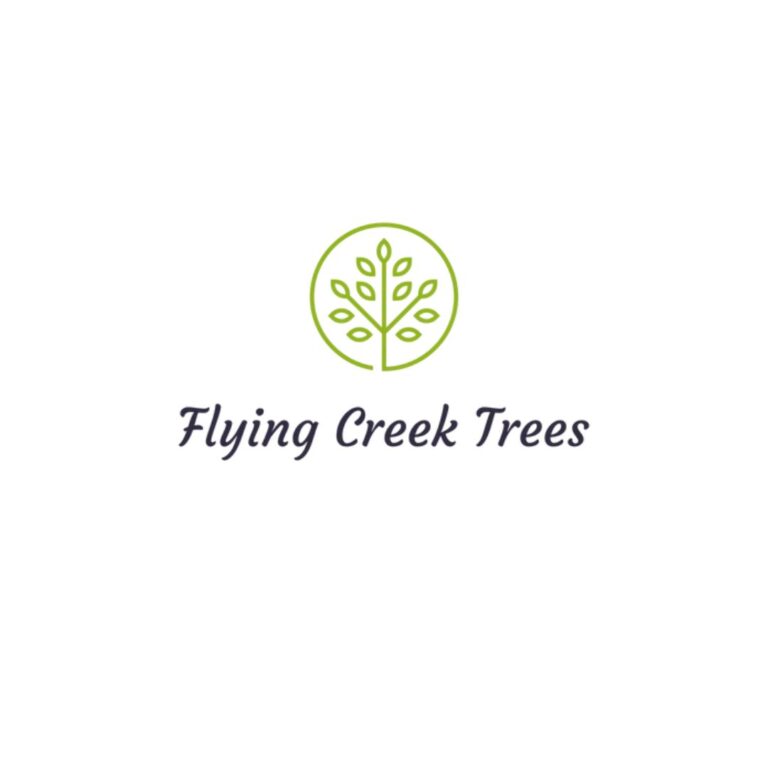 logo 1 768x768